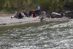 Familien erholen sich an der Isel