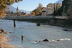 Fliegenfischen in der Isel in Lienz