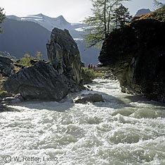 Der Gschlössbach mit Sommerwasser