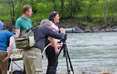 Naturbeobachtung an der Isel