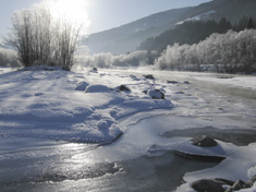 Winter an der Isel