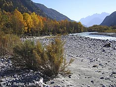 Bunter Herbst an der Isell