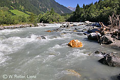 Die Isel bei Feld unterhalb von Matrei