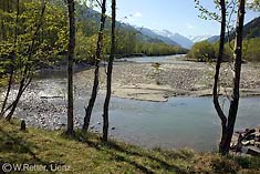 Die Isel bei Oberlienz im Frühjahr