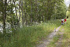 Der Uferweg der Isel soll asphaltfrei bleiben