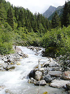 **Noch schäumt der Lesachbach unterhalb der Lesachalm in Kals