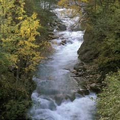 Die Schwarzach vor ihrer Verstümmelung durch die TIWAG