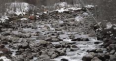 Restwasser der Schwarzach nach TIWAG-Ableitung