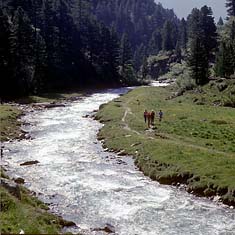 Die Schwarzach – auch sie bringt Nationalparkwasser in die Isel