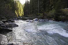 Der Tauernbach im Schattseitwald