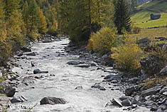 Der Tauernbach im Tauerntal - ein TIWAG-Opfer?