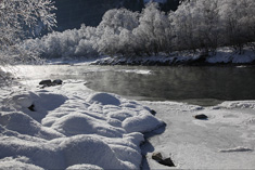 Winter an der Isel