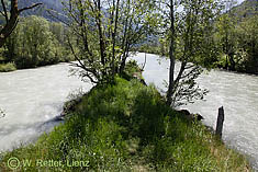 Zusammenfluss von Tauernbach und Isel